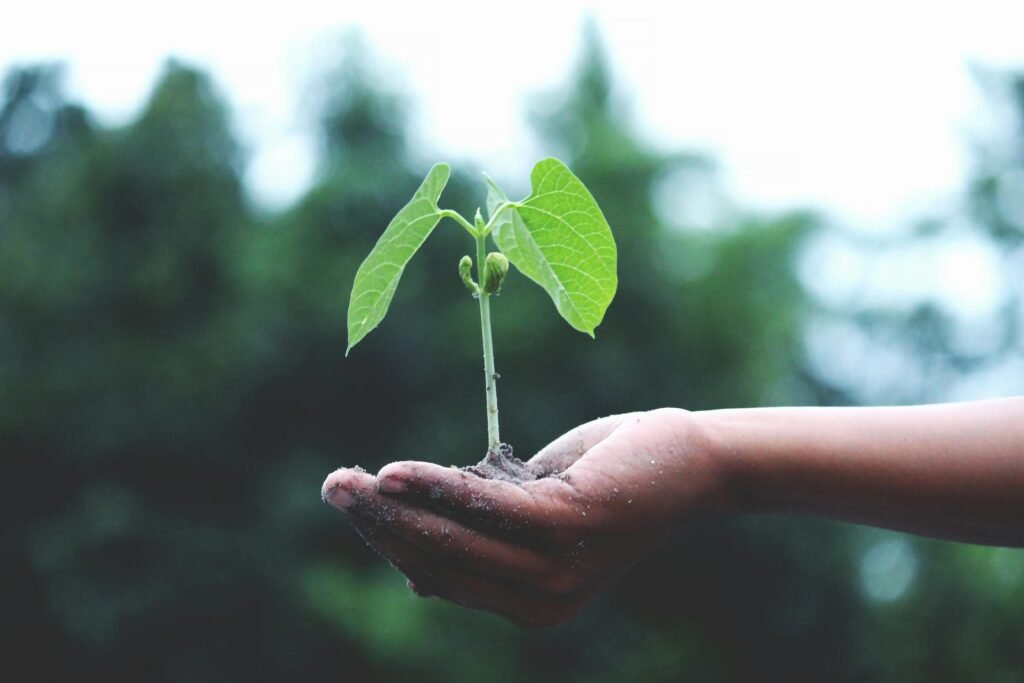 plant-about-us-banner