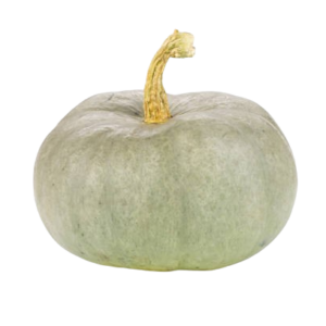 Ridged White Pumpkin